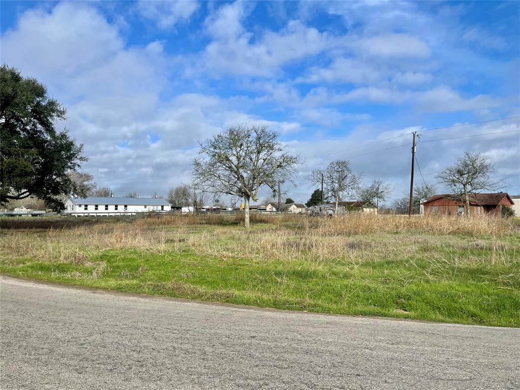 Chadwick Hogan Road, Chappell Hill, Texas image 6