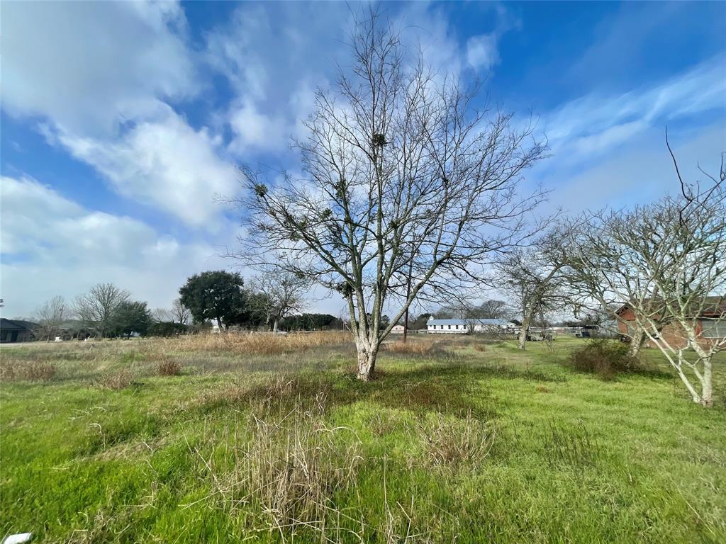 Chadwick Hogan Road, Chappell Hill, Texas image 7