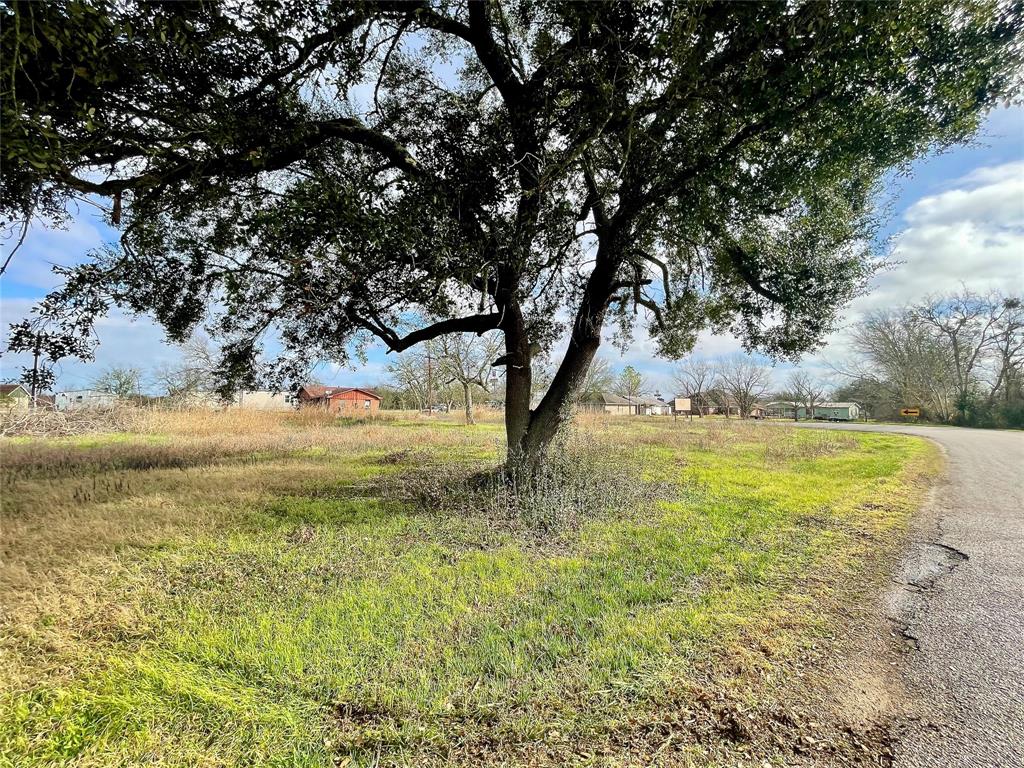 Chadwick Hogan Road, Chappell Hill, Texas image 4