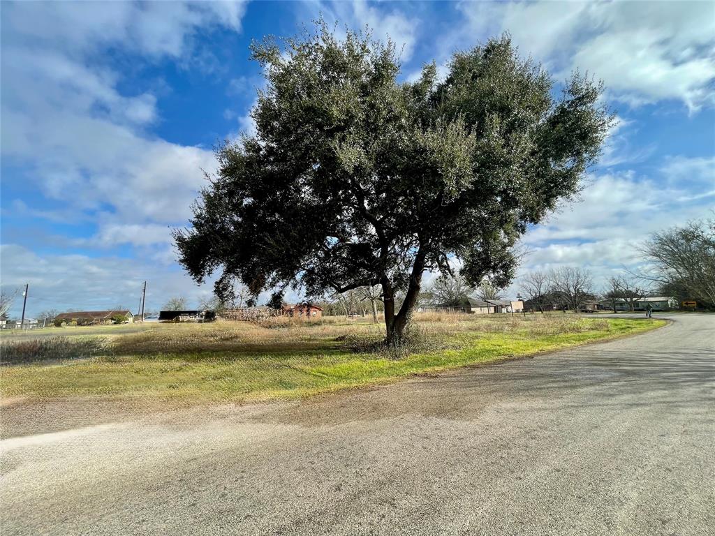 Chadwick Hogan Road, Chappell Hill, Texas image 2