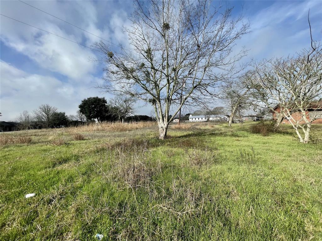 Chadwick Hogan Road, Chappell Hill, Texas image 9