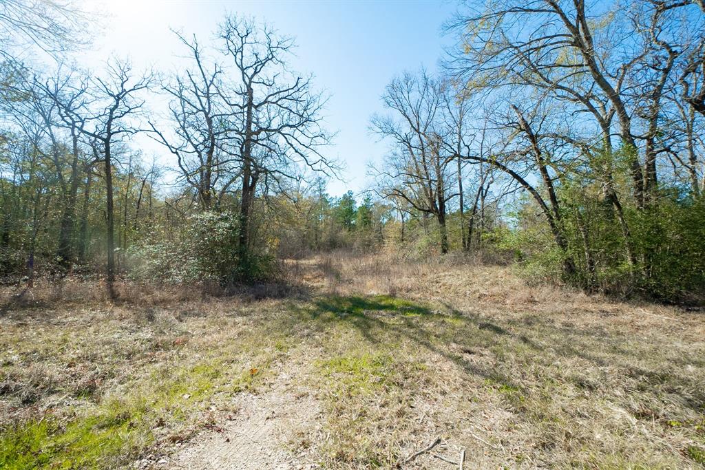 000 Oates Bros Road, Trinity, Texas image 3