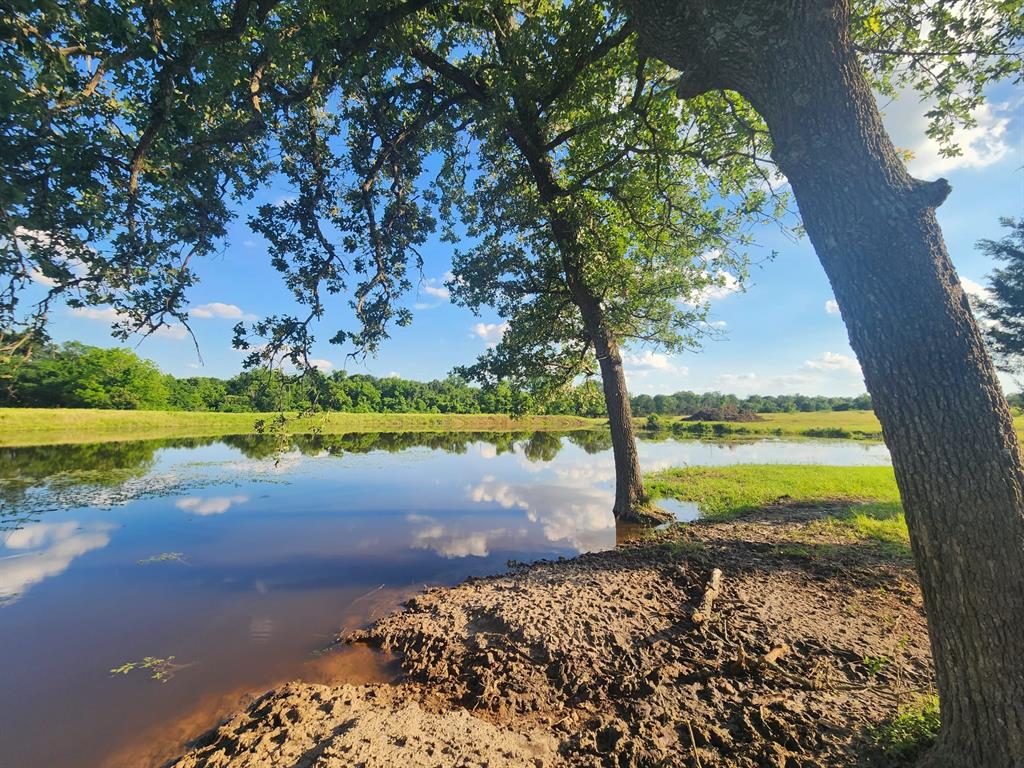 18954 Sweed Road, Washington, Texas image 13