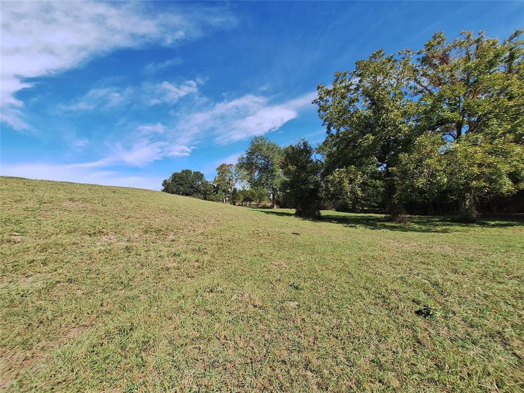 18954 Sweed Road, Washington, Texas image 17