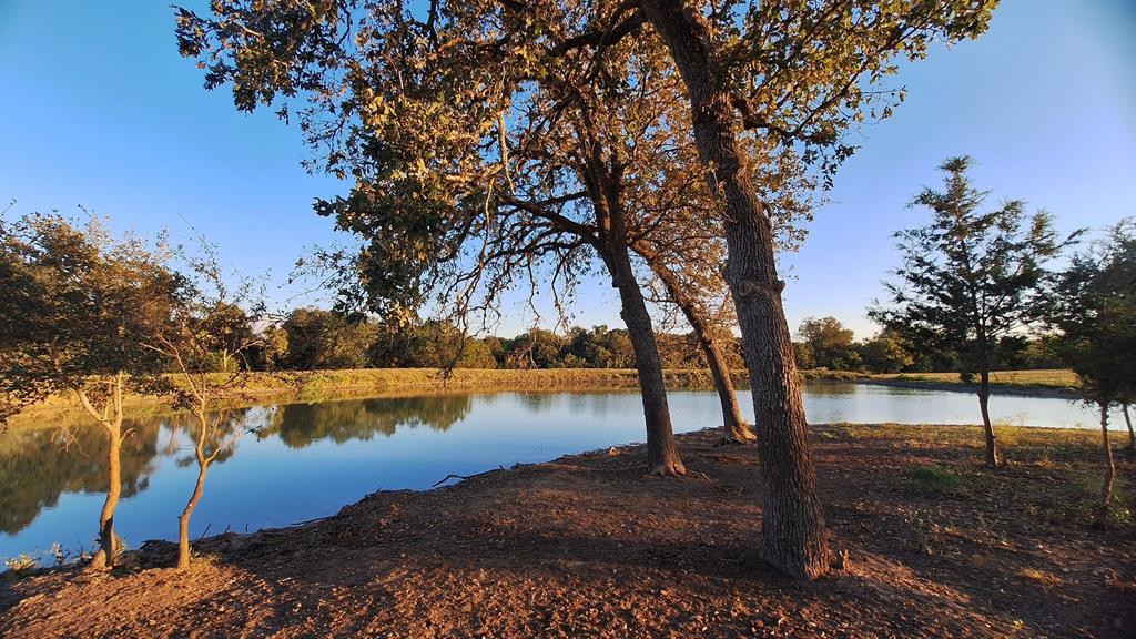 18954 Sweed Road, Washington, Texas image 3