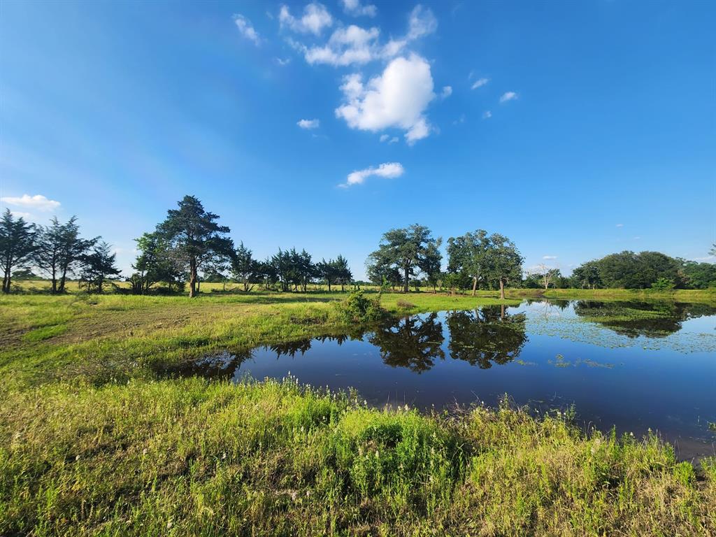 18954 Sweed Road, Washington, Texas image 10