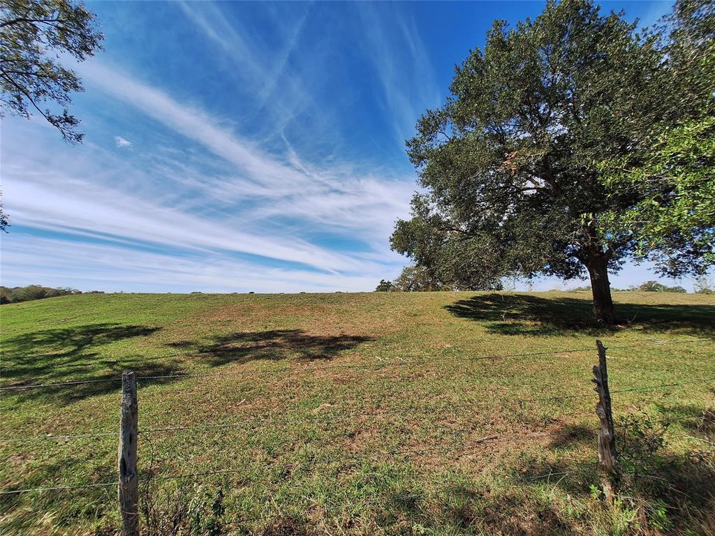 18954 Sweed Road, Washington, Texas image 9