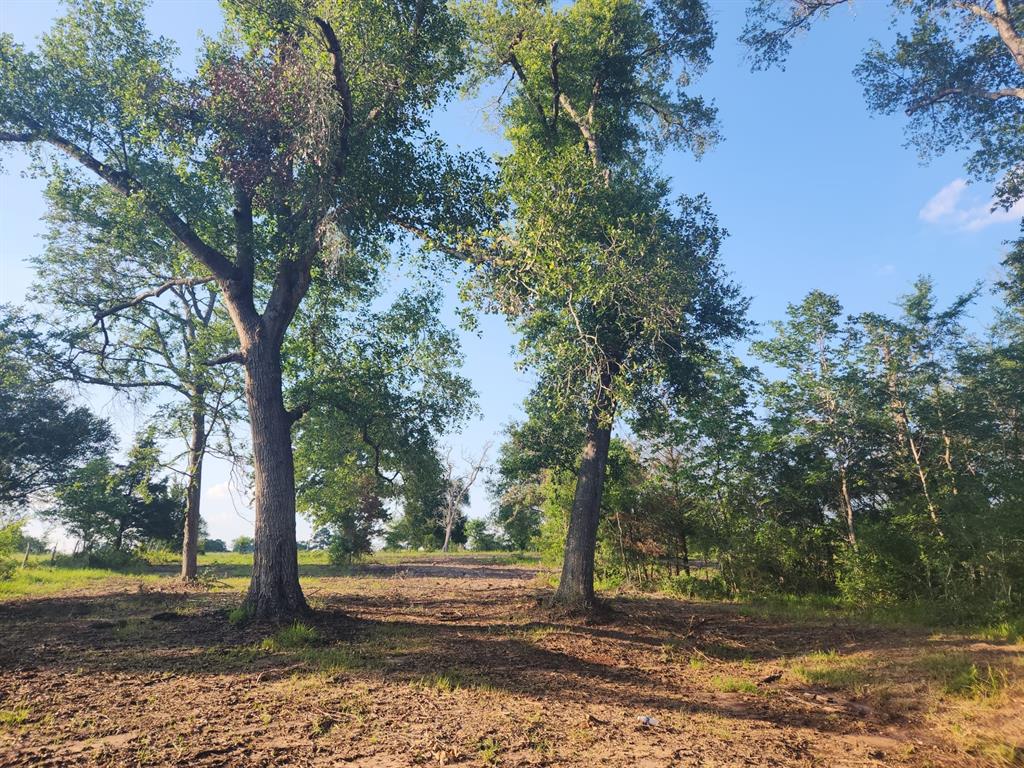 18954 Sweed Road, Washington, Texas image 19