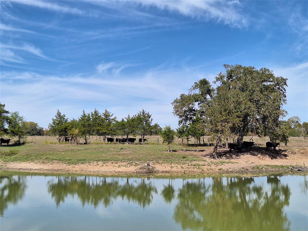 18954 Sweed Road, Washington, Texas image 24