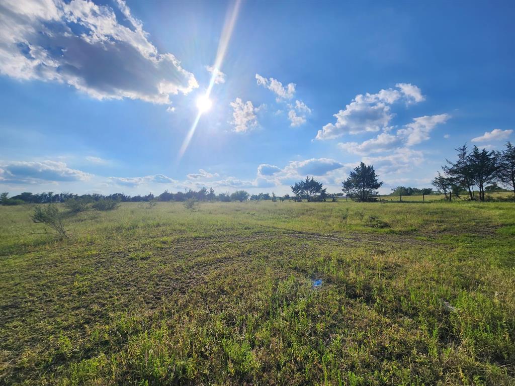 18954 Sweed Road, Washington, Texas image 15