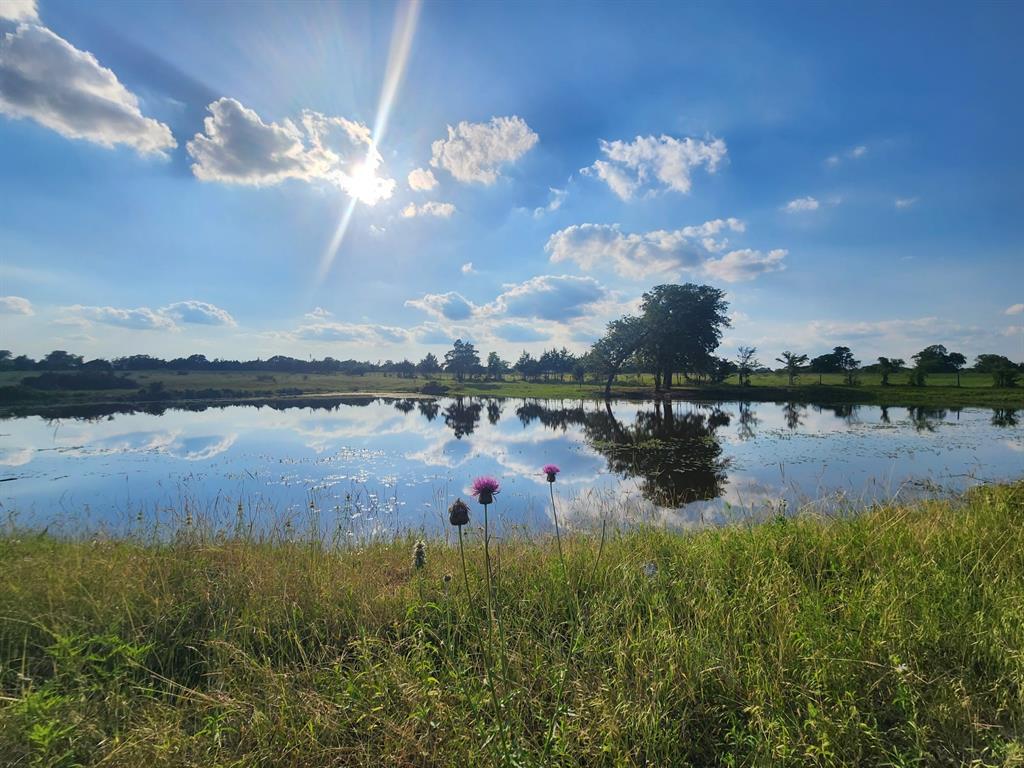 18954 Sweed Road, Washington, Texas image 11