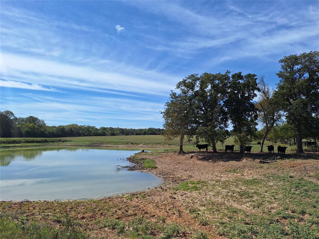 18954 Sweed Road, Washington, Texas image 23