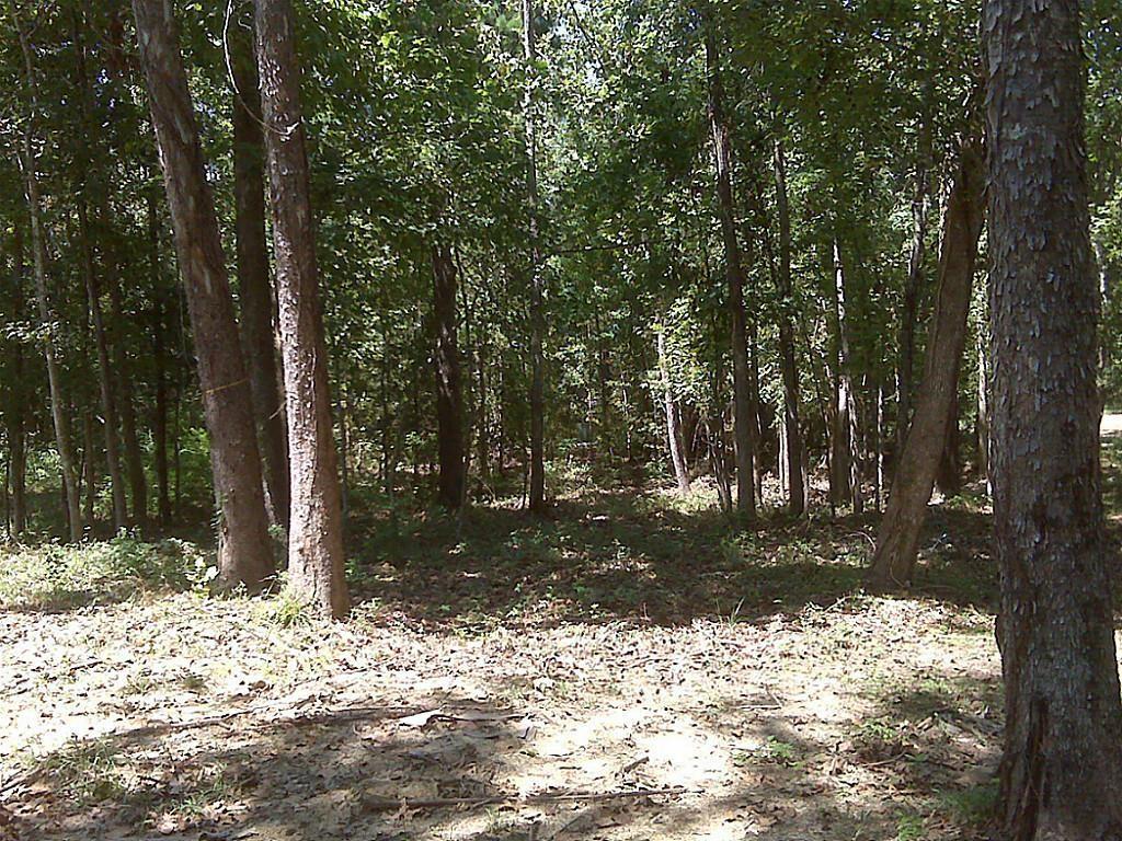 37 Robin Hood, Cleveland, Texas image 14
