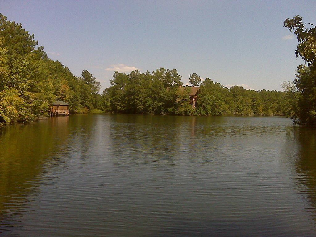 37 Robin Hood, Cleveland, Texas image 6