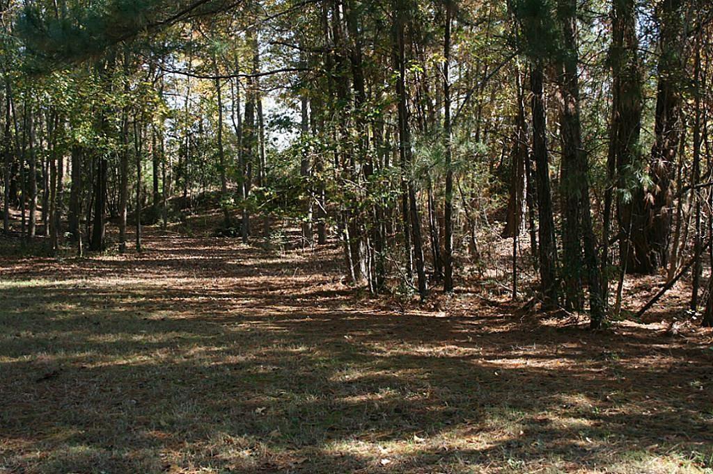 37 Robin Hood, Cleveland, Texas image 10