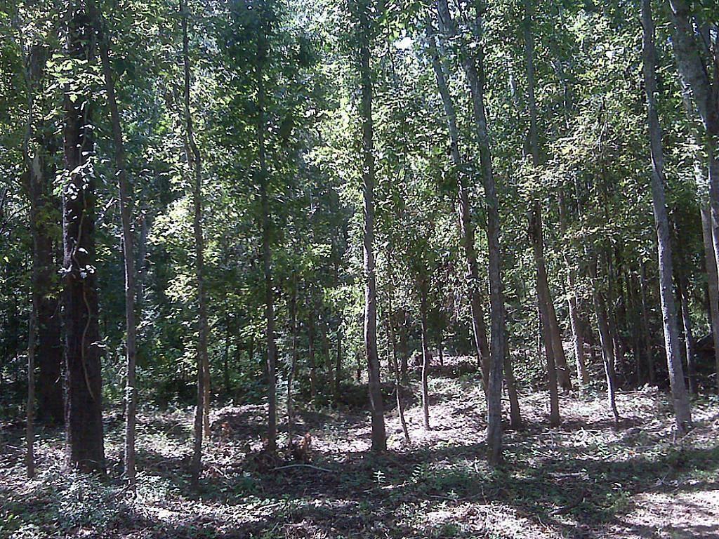 37 Robin Hood, Cleveland, Texas image 13
