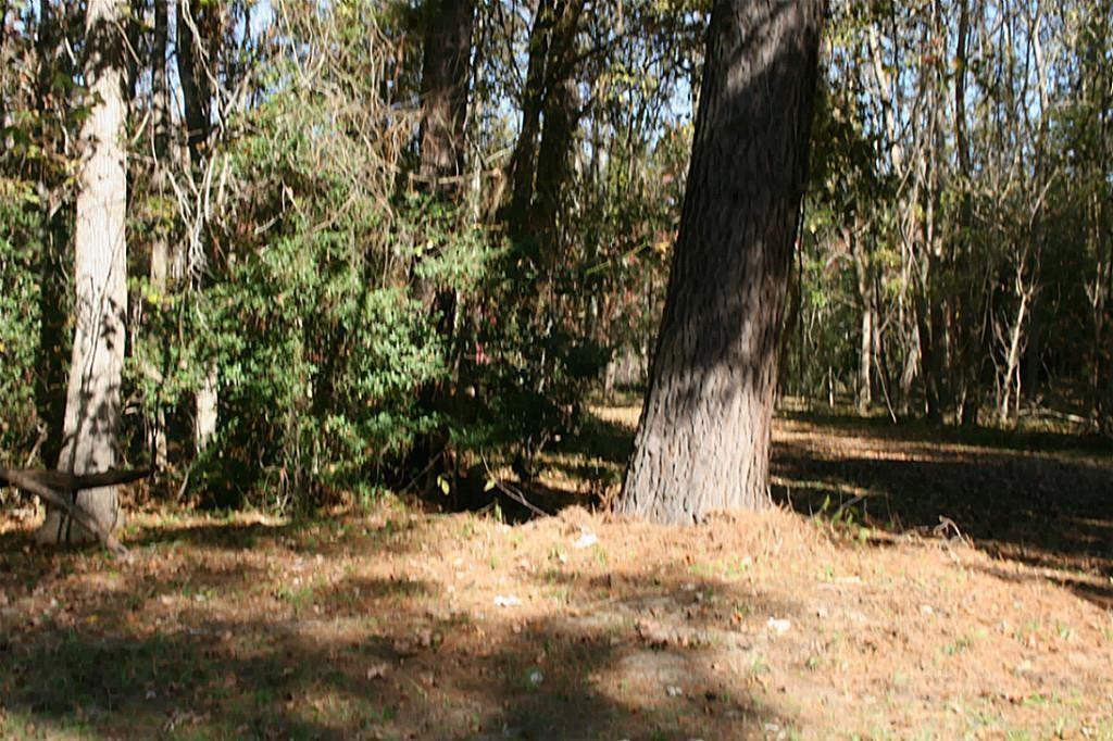 37 Robin Hood, Cleveland, Texas image 8