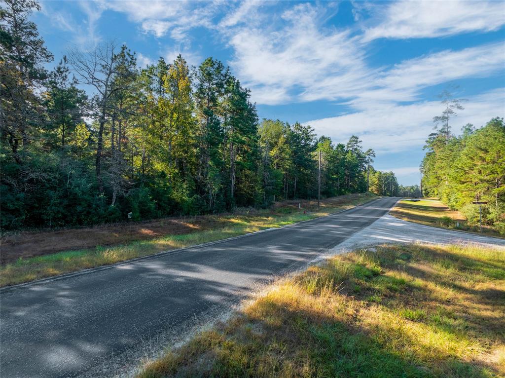 Lot 83 Remington Road, Huntsville, Texas image 3