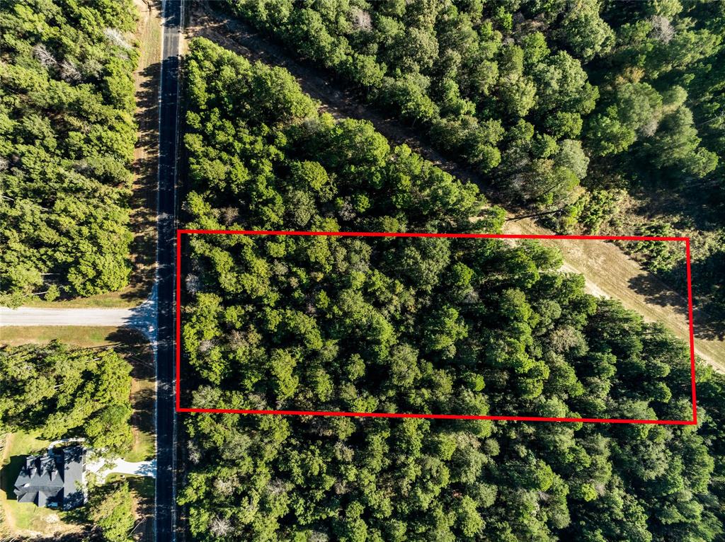 Lot 83 Remington Road, Huntsville, Texas image 2