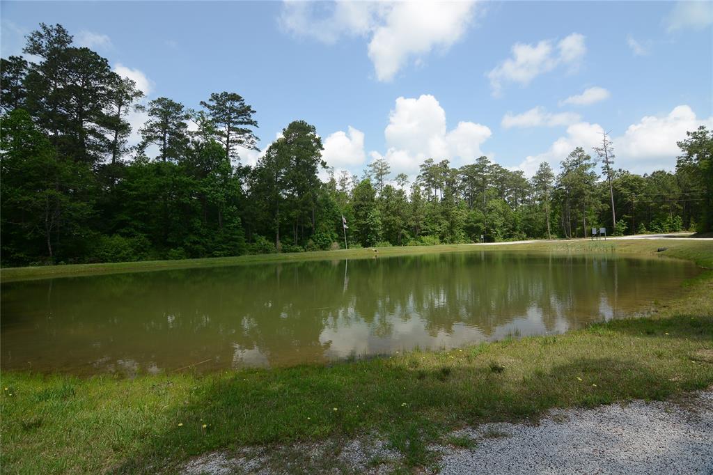 Lot 83 Remington Road, Huntsville, Texas image 9