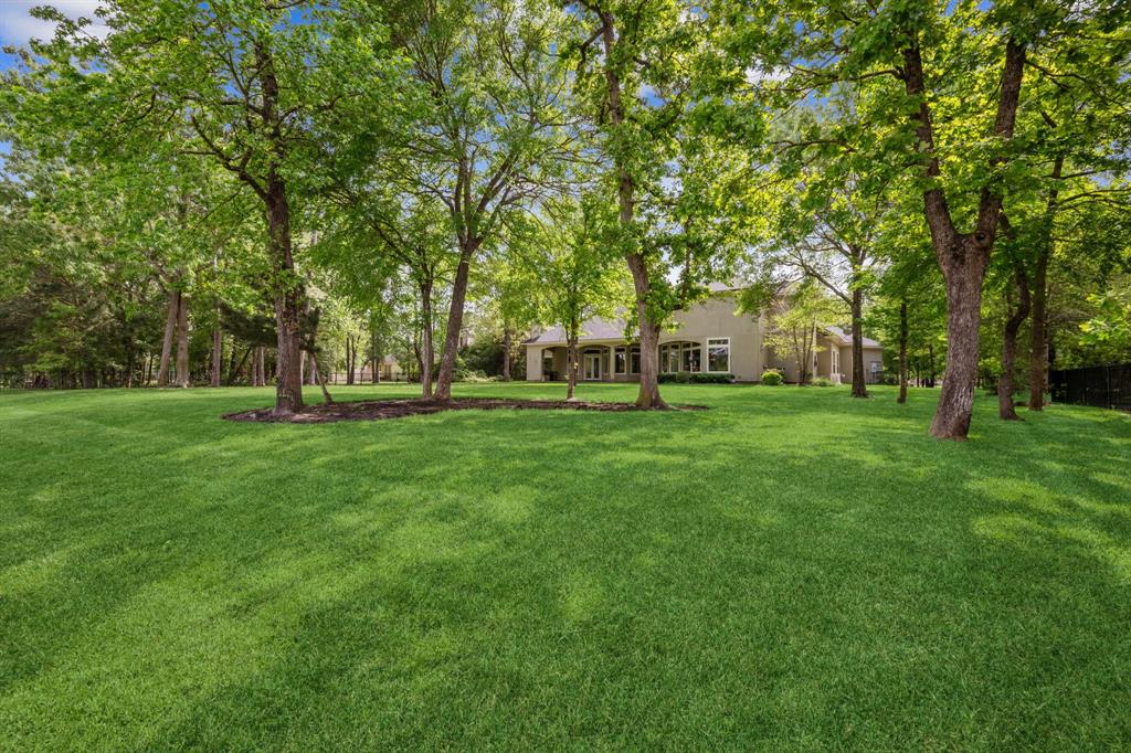 3230 W Benders Landing Boulevard, Spring, Texas image 4