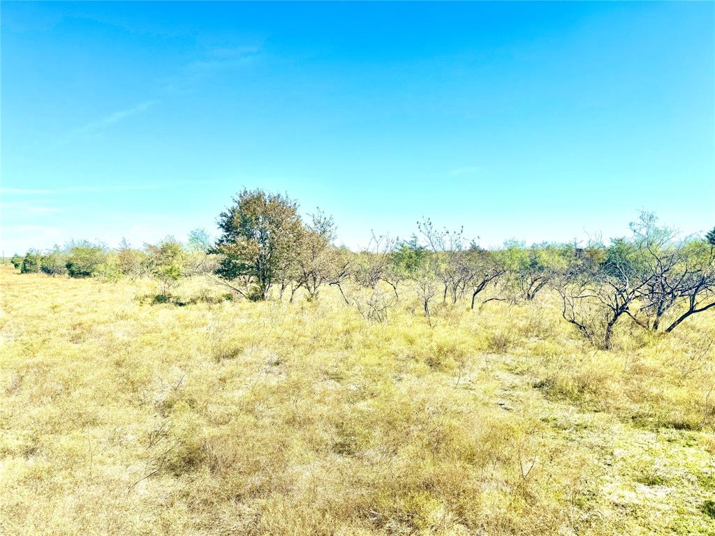 318 Private Road 5462, Mexia, Texas image 3