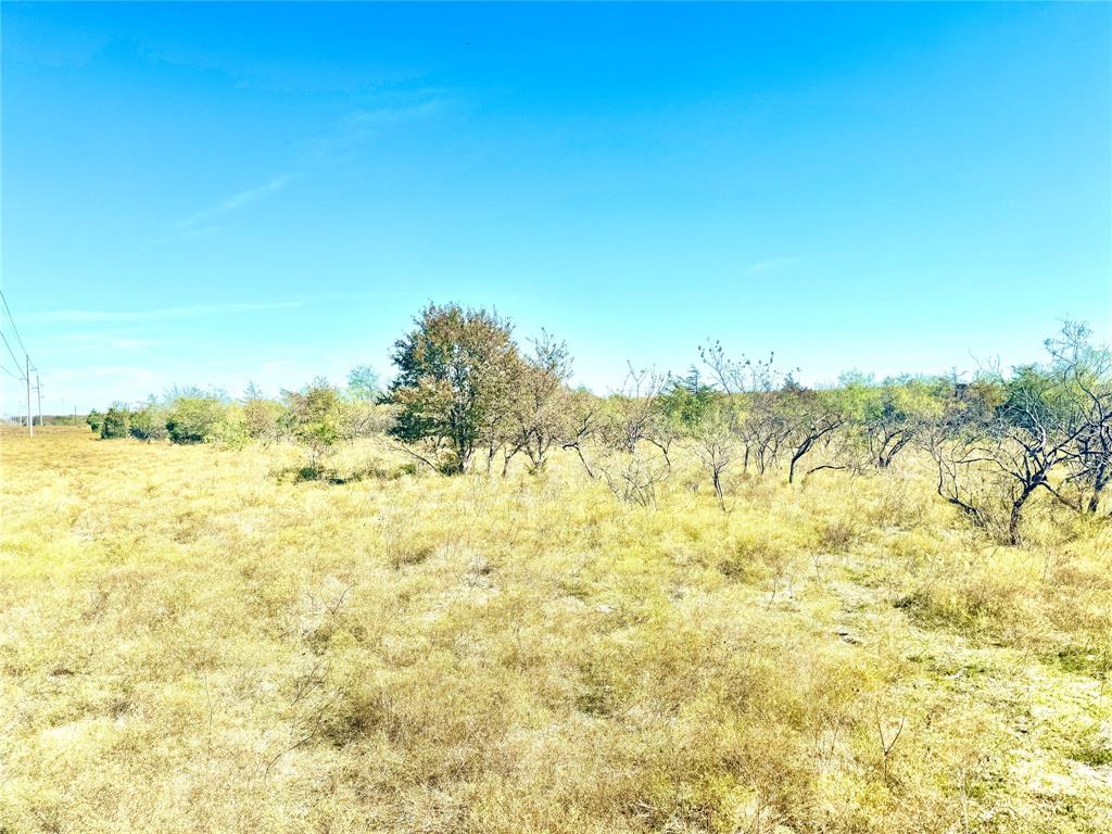 318 Private Road 5462, Mexia, Texas image 4