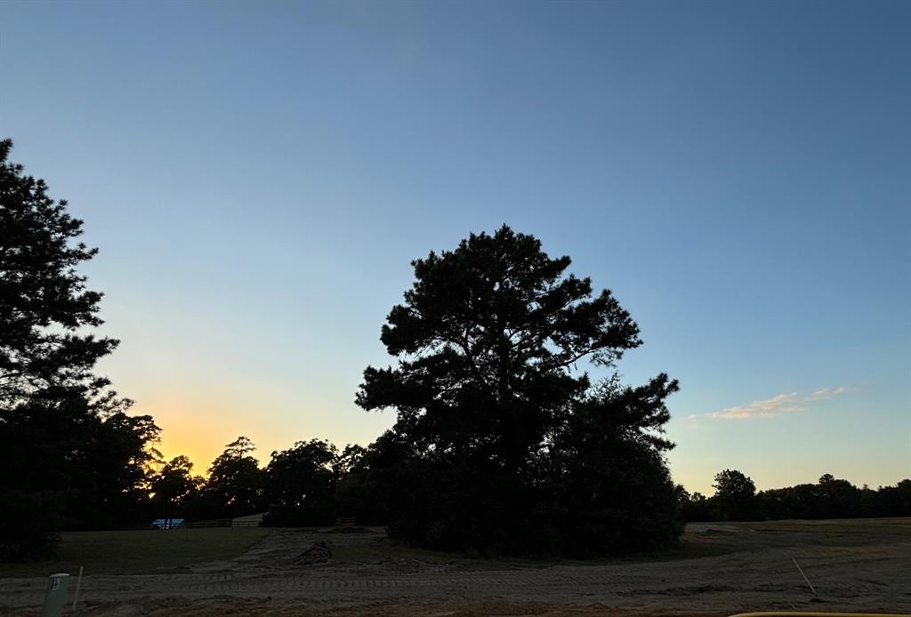 204 Rolling Oaks, Hockley, Texas image 4