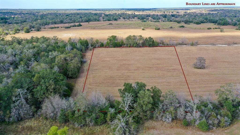 Lot 3 County Rd 229, Bedias, Texas image 11