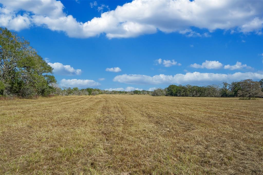 Lot 3 County Rd 229, Bedias, Texas image 6