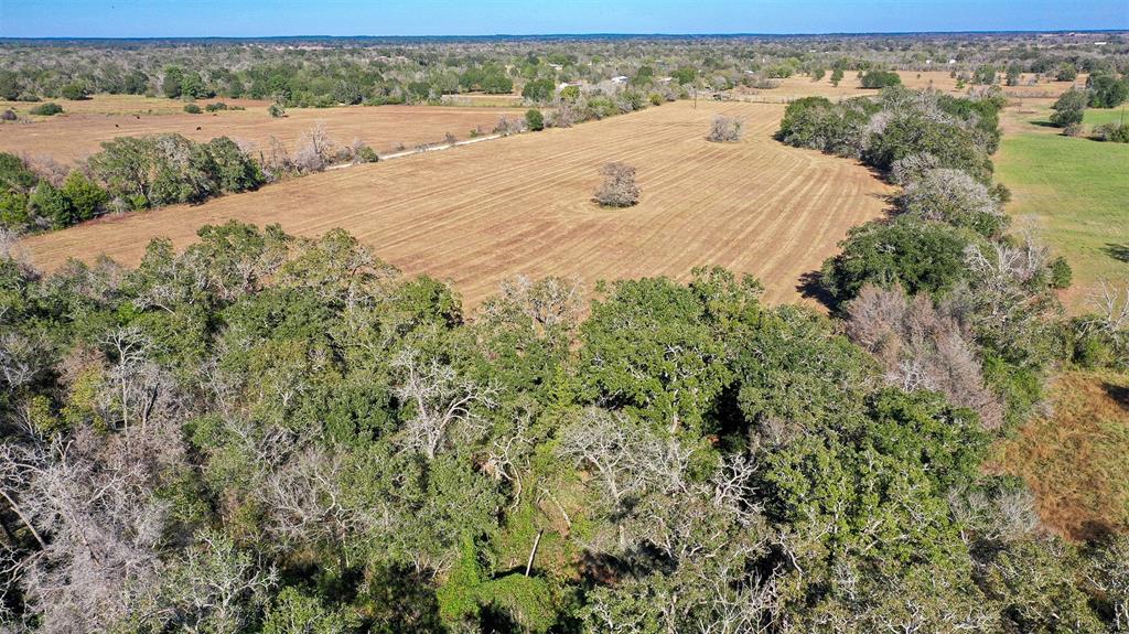 Lot 3 County Rd 229, Bedias, Texas image 4