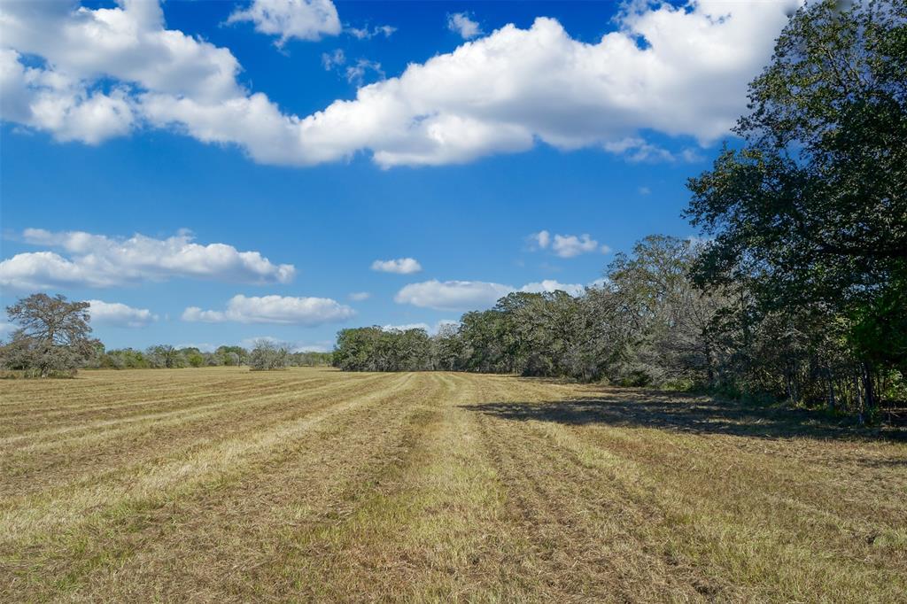 Lot 3 County Rd 229, Bedias, Texas image 2