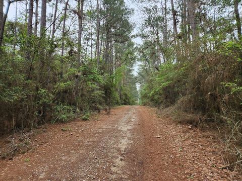 Photo of 25 North Council Drive, Hempstead, TX 77445 (MLS # 49851041) Photo of 25 North Council Drive, Hempstead, TX 77445 (MLS # 49851041)
