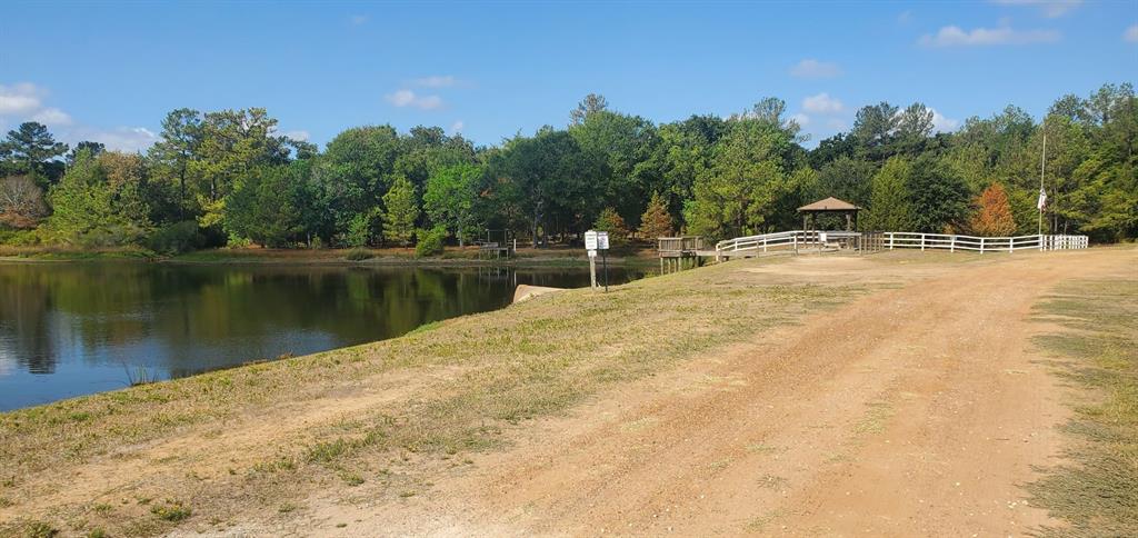 Lot 25 North Council Drive, Hempstead, Texas image 16