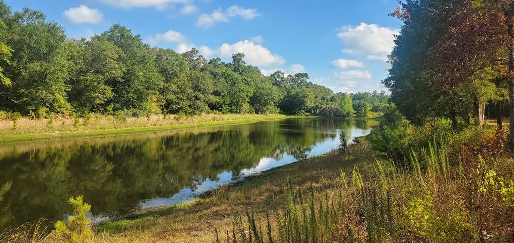 Lot 25 North Council Drive, Hempstead, Texas image 9