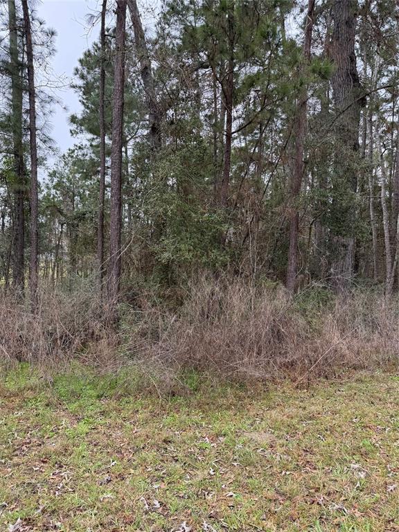 LOT 68 Holly Drive, Onalaska, Texas image 2