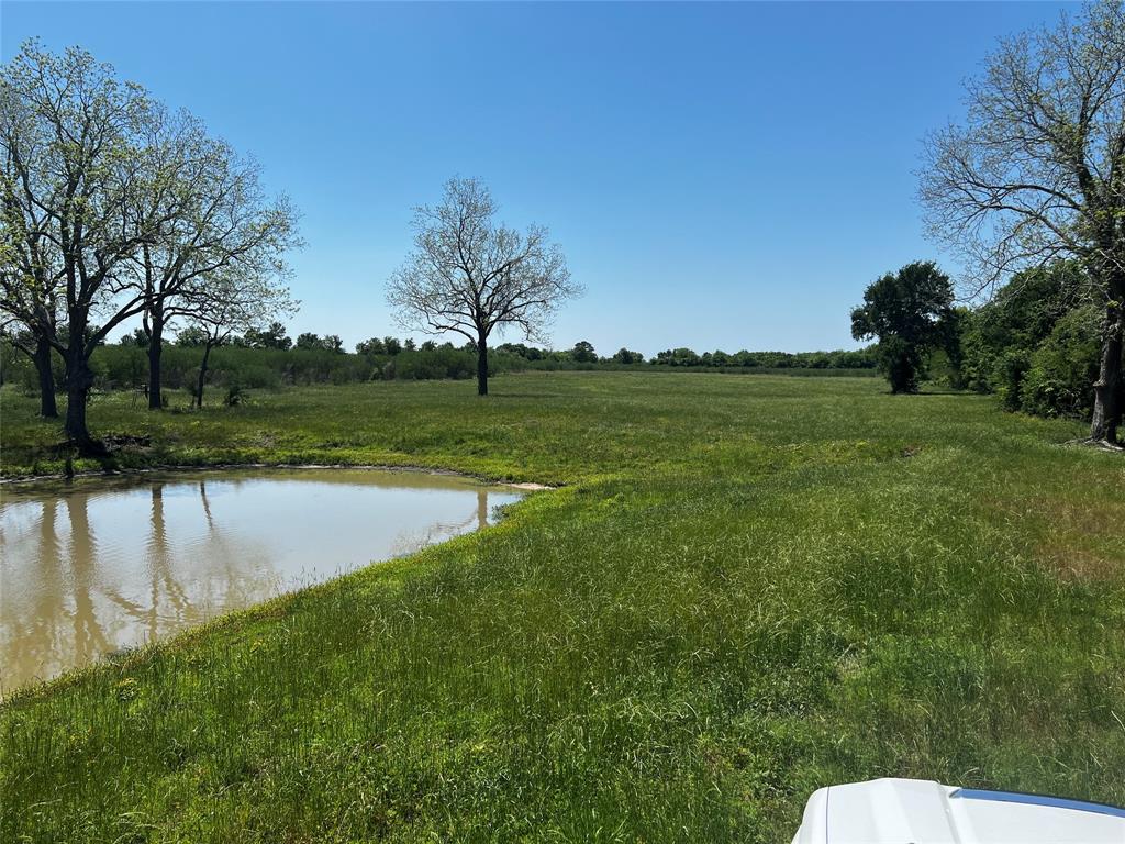 Meyer Road, San Felipe, Texas image 26