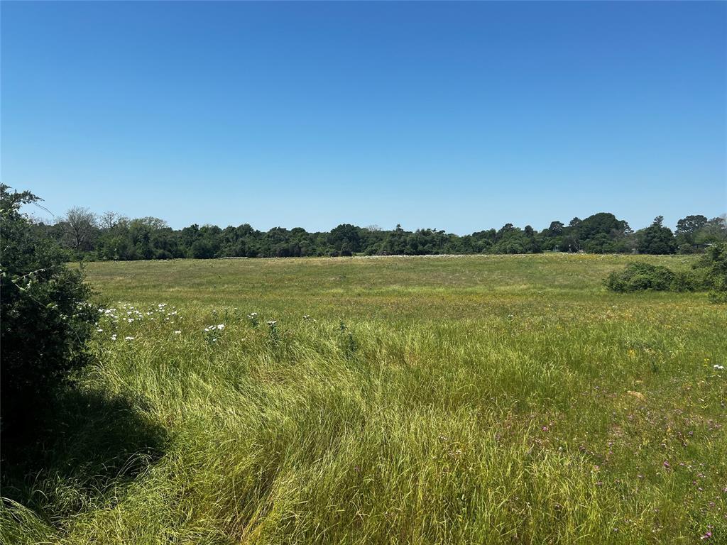 Meyer Road, San Felipe, Texas image 11