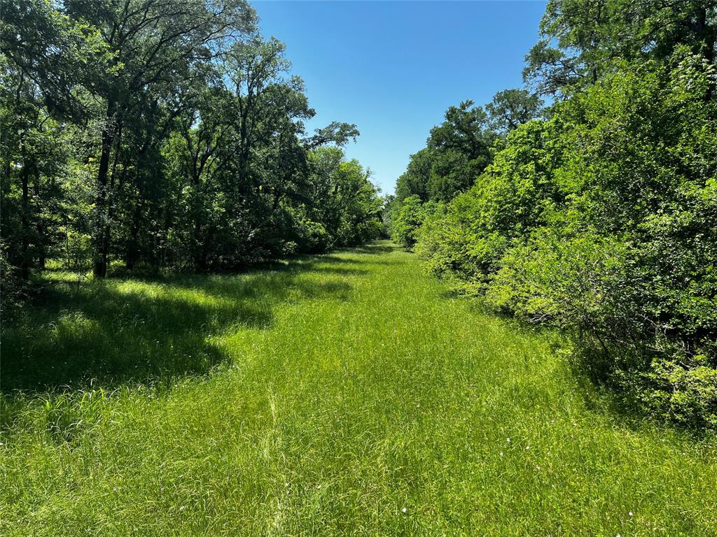 Meyer Road, San Felipe, Texas image 34