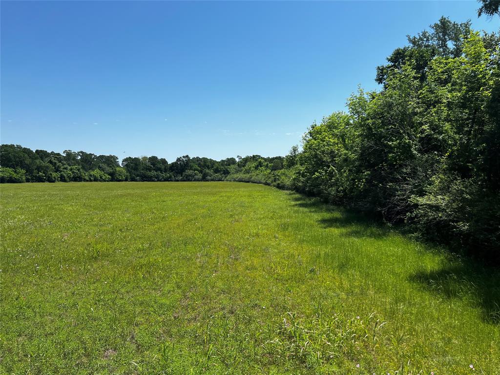 Meyer Road, San Felipe, Texas image 41