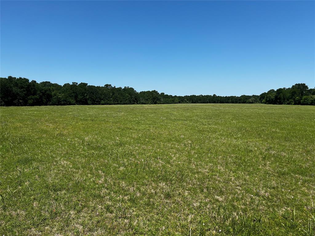 Meyer Road, San Felipe, Texas image 37