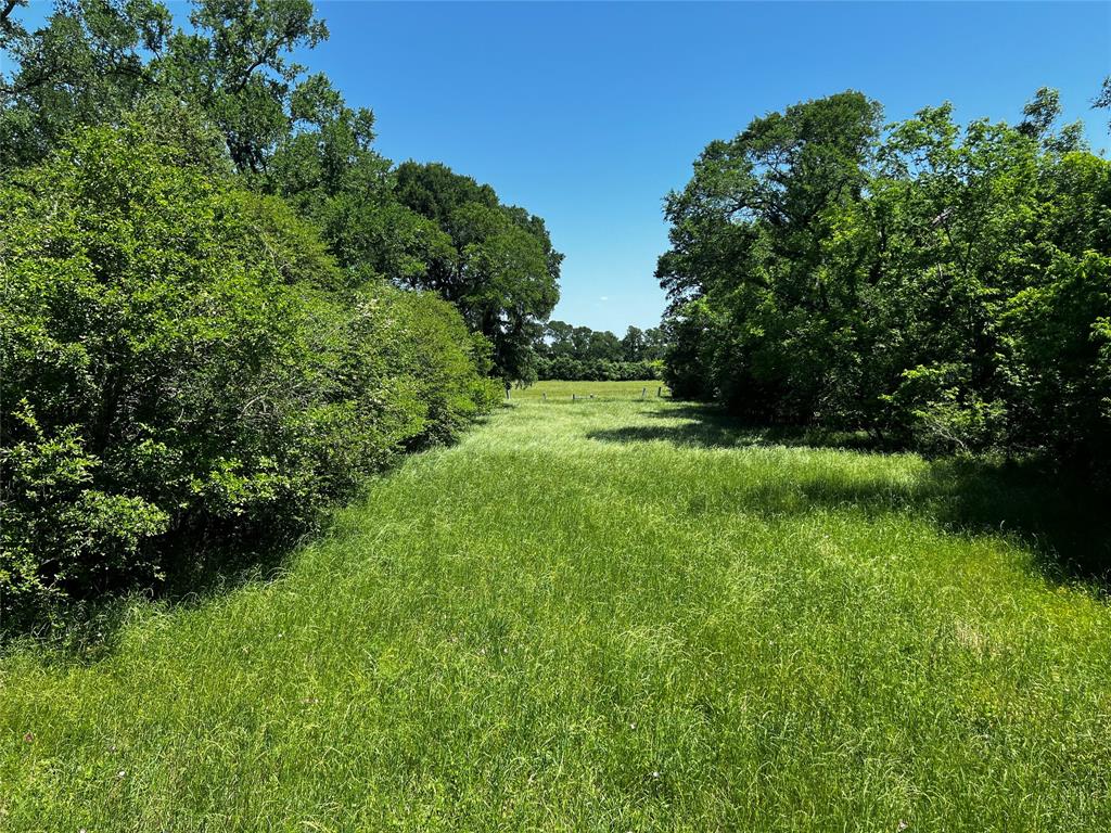 Meyer Road, San Felipe, Texas image 33