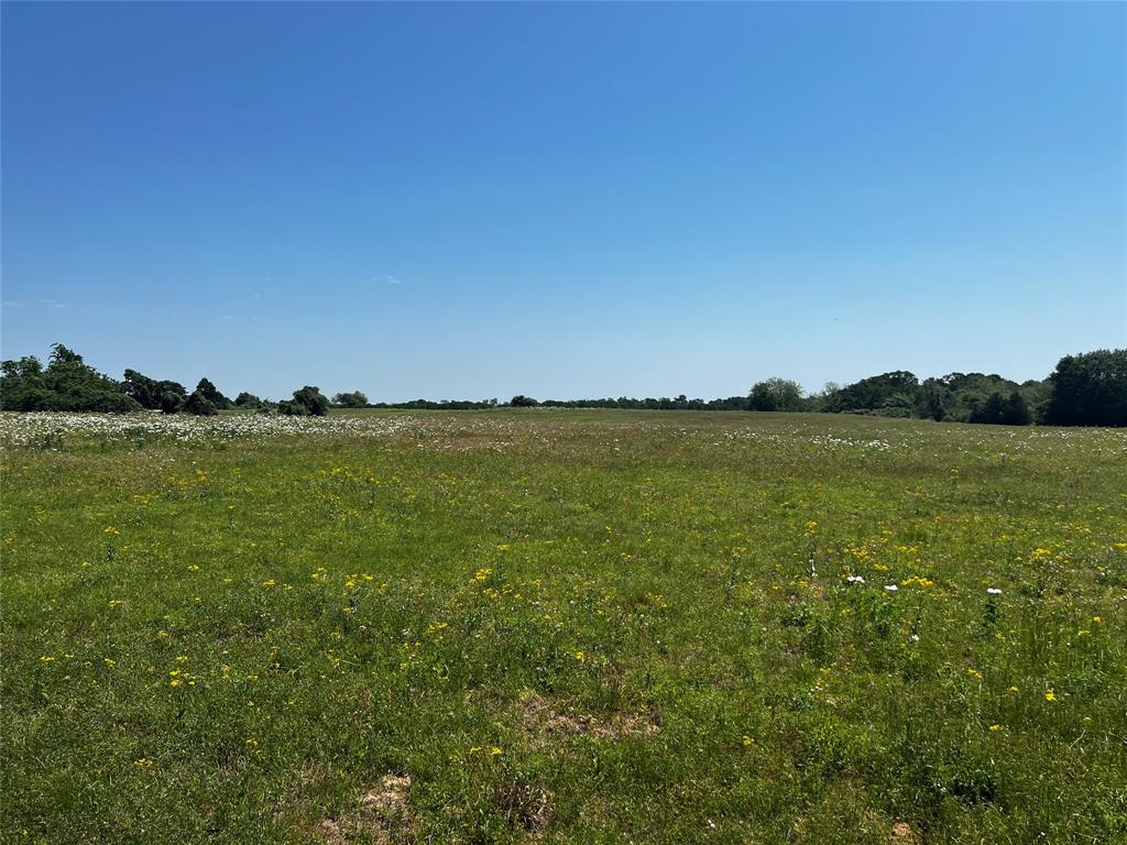 Meyer Road, San Felipe, Texas image 20