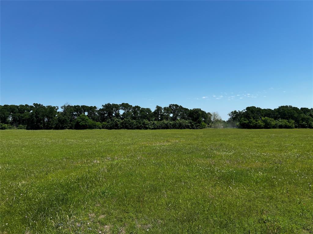 Meyer Road, San Felipe, Texas image 39