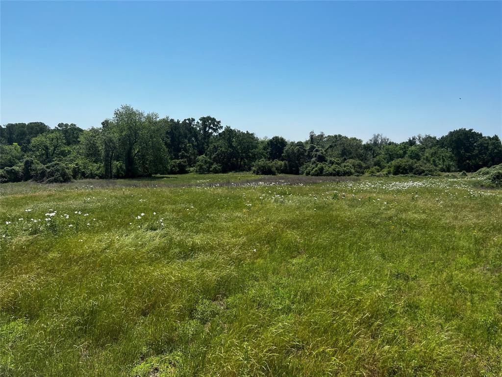 Meyer Road, San Felipe, Texas image 15