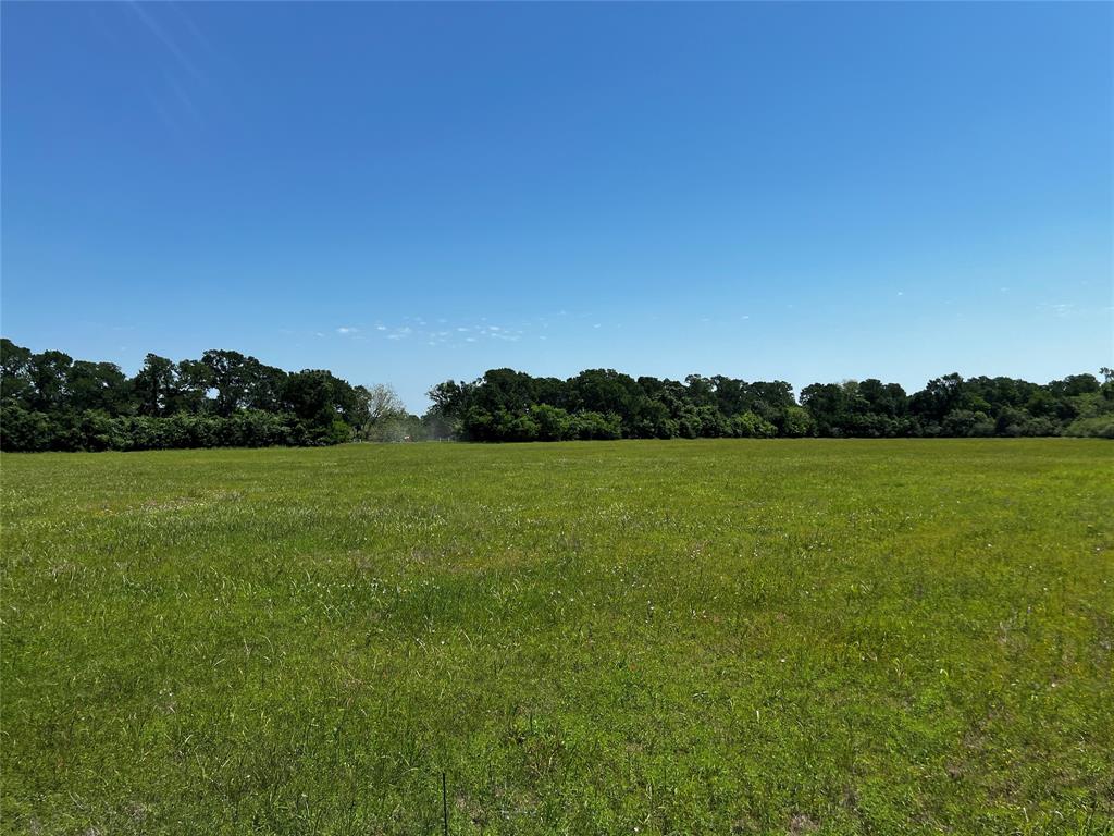 Meyer Road, San Felipe, Texas image 40