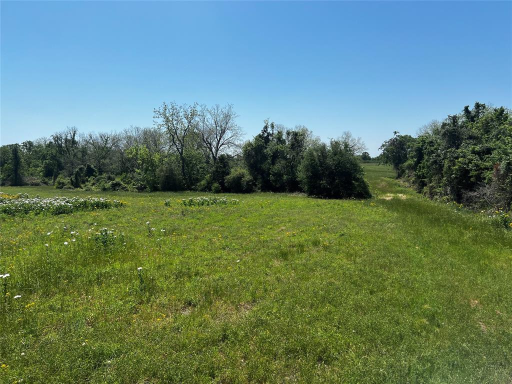 Meyer Road, San Felipe, Texas image 22