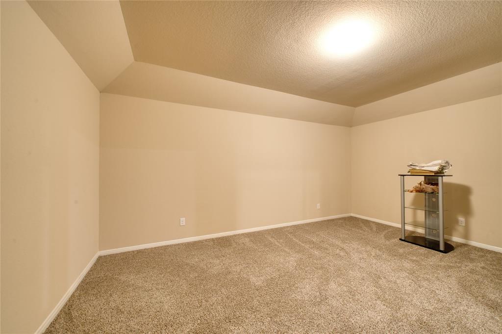 18119 Tenasserim Pine Trace, Richmond, Texas image 28