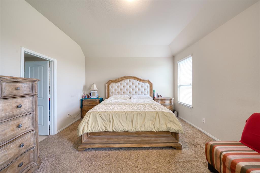 18119 Tenasserim Pine Trace, Richmond, Texas image 20