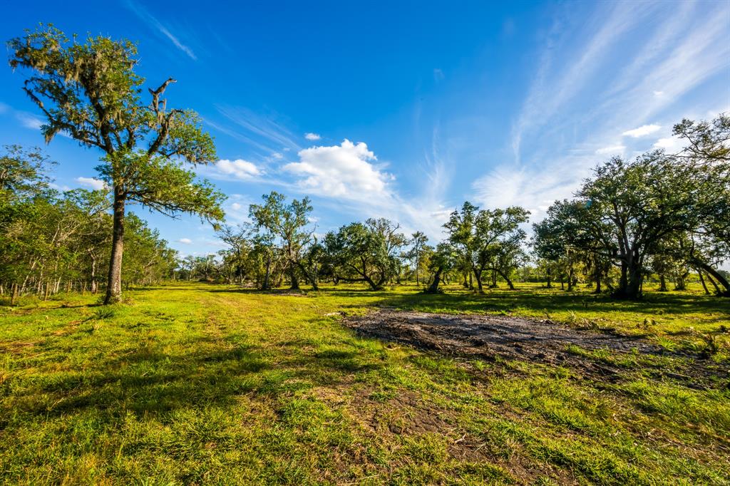 5125 Cr 700, Brazoria, Texas image 1